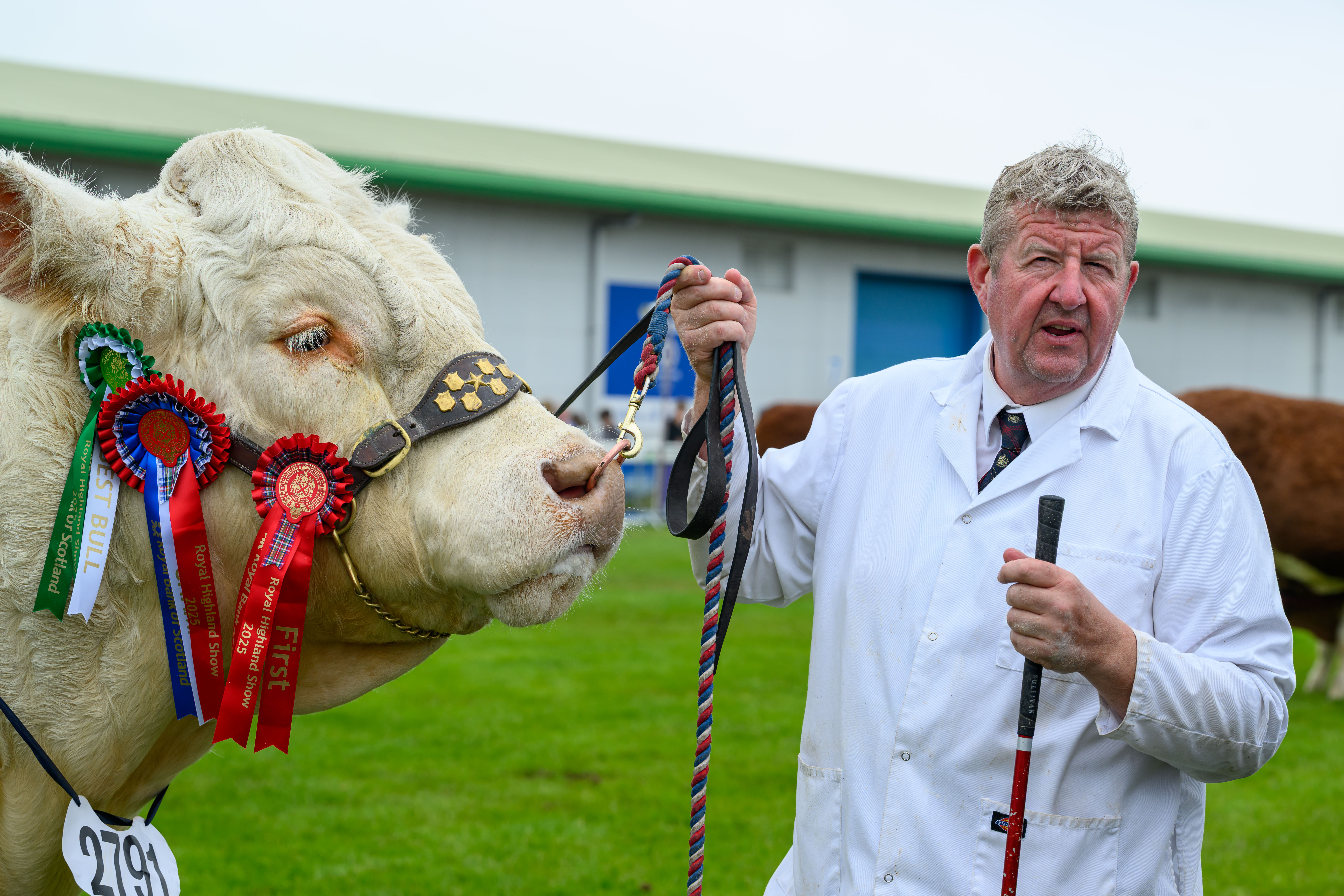 RHS Sat Cattle Overall Winner 1