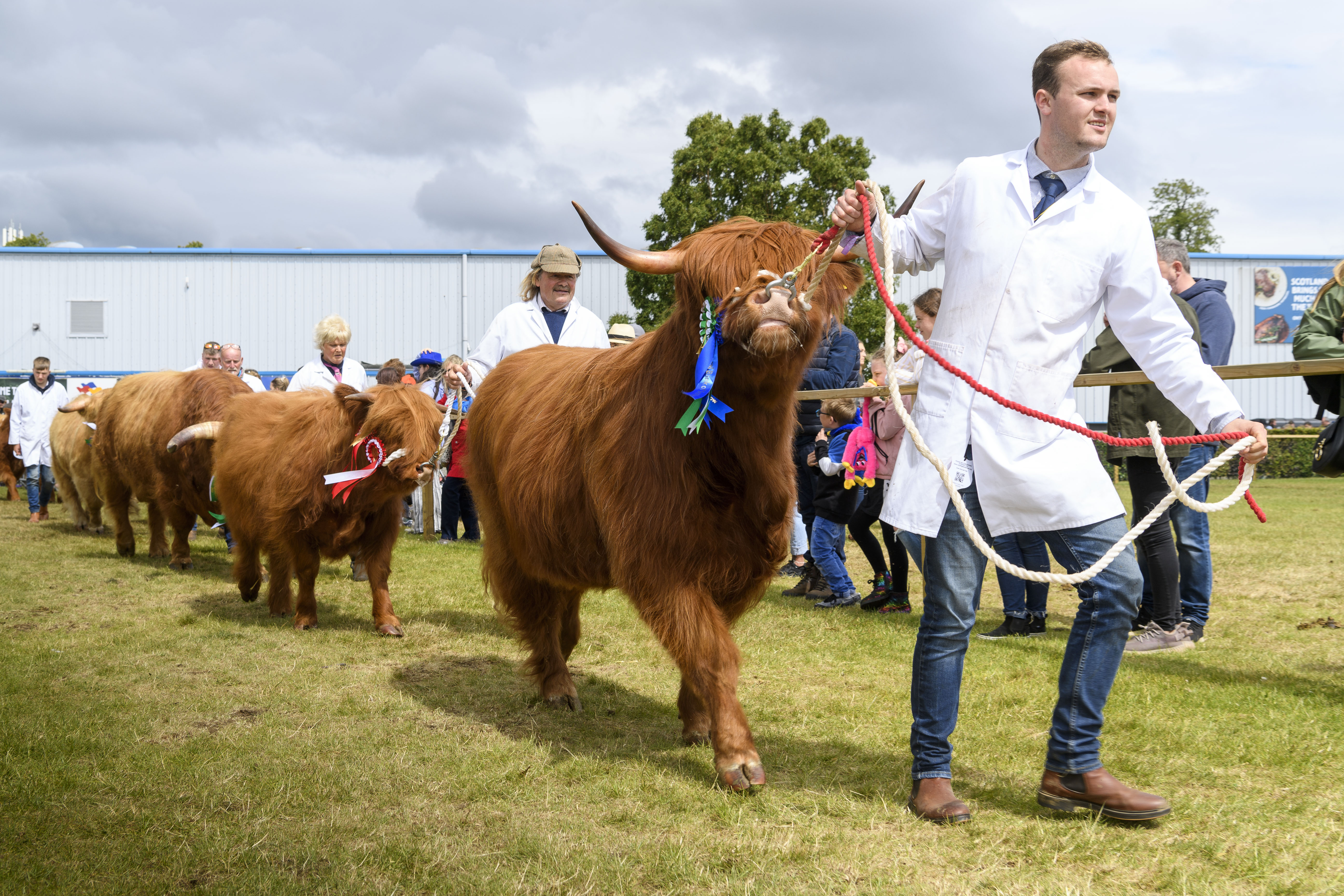 Bigger than Hogmanay! Independent report finds Royal Highland Show contributes more to Edinburgh economy