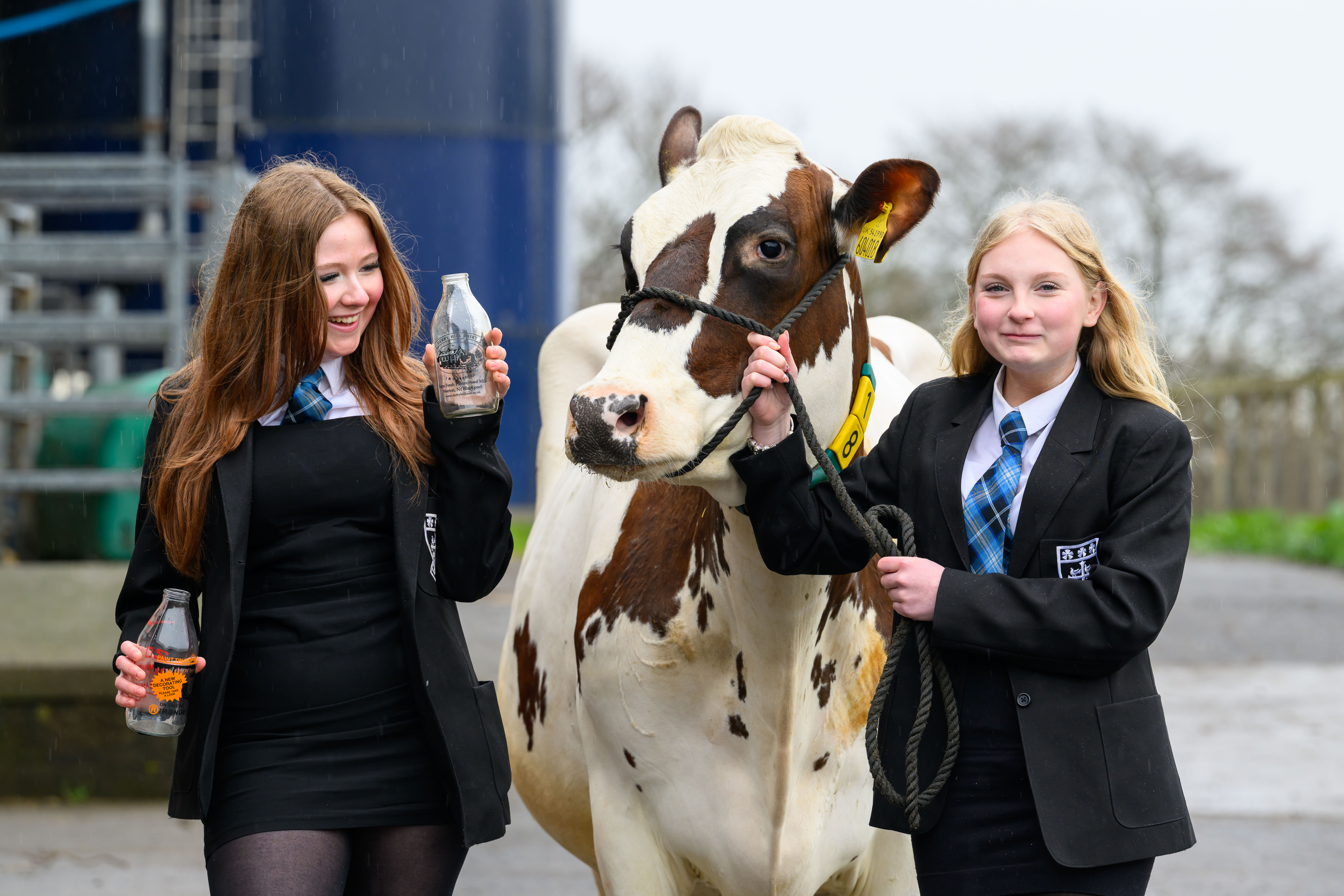 L R Niamh Brown And Evie Wright Help With Launch The RHS School's Competition With Cow Aladdin Rae