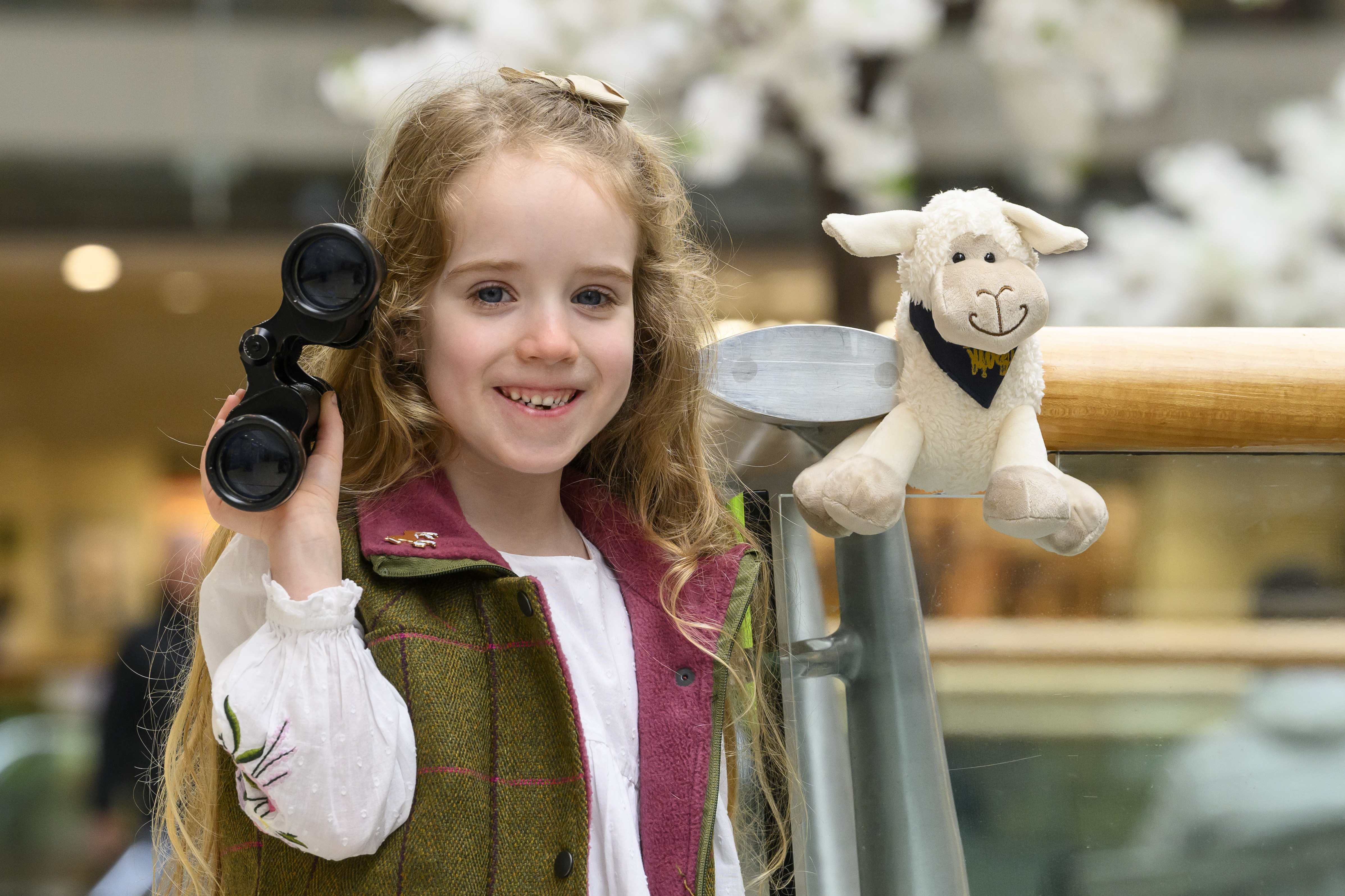 Hide & Sheep is here!