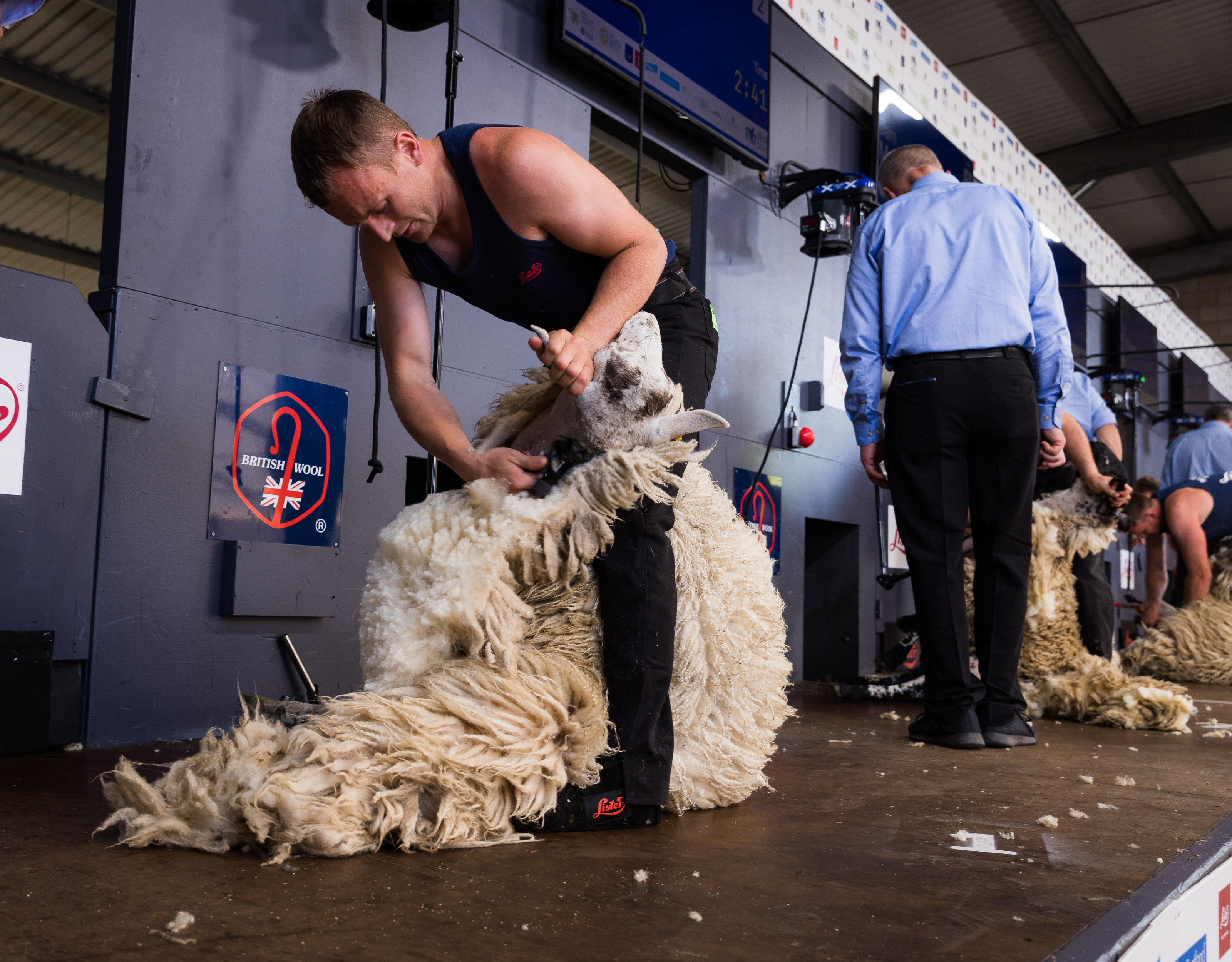 Sheep Shearing, Woolhandling and Fleece Results