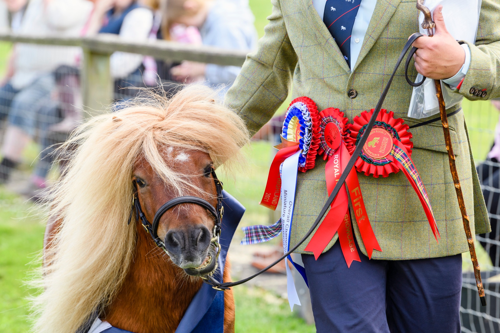 170621IAGRHS 55 (2) (1) (3)